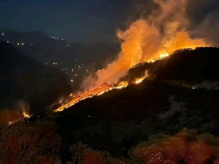 Imagen: Se registran 59 incendios en Hidalgo durante el 2021