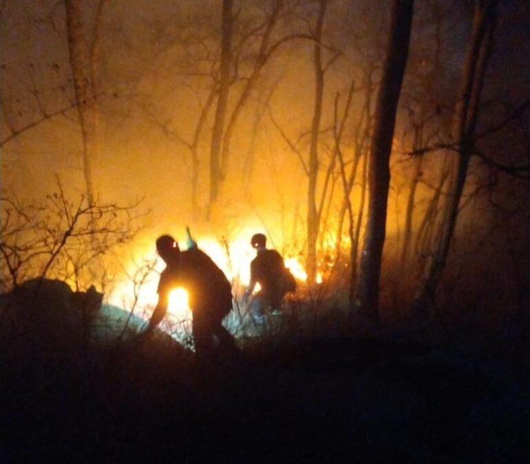 Imagen: Hectáreas afectadas por los incendios forestales en Hidalgo rebasaron lo de 2023