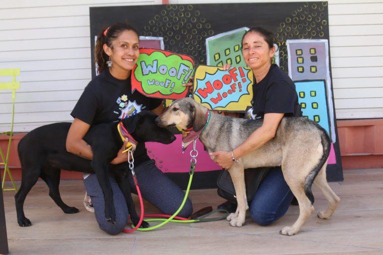 Imagen: Exitoso Perro Fest 2023: Un día lleno de amor y cuidado animal en Explanada