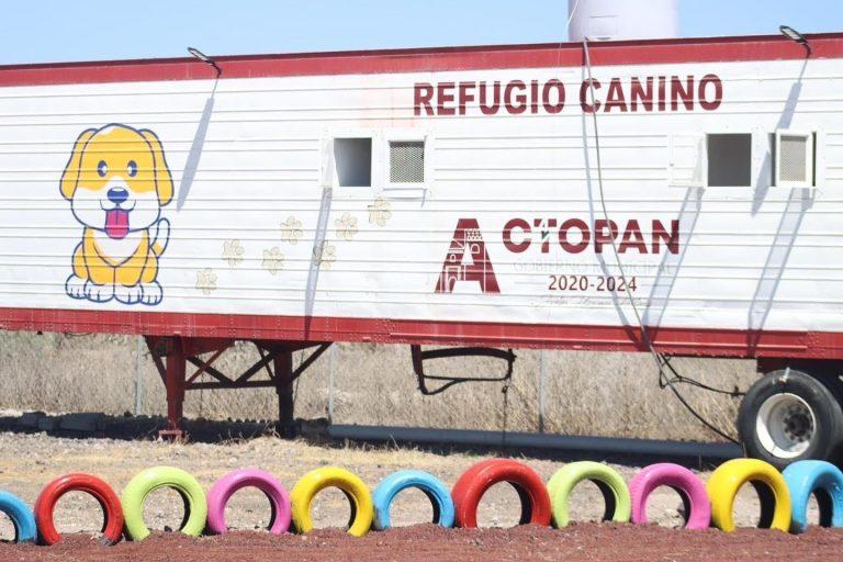 Imagen: Incumple refugio canino de Actopan con bienestar para animales