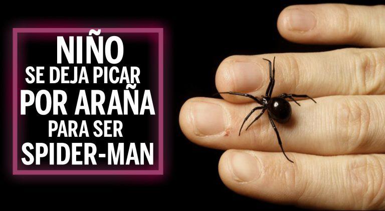 Imagen: Niño se deja picar por araña para ser Spider-Man; termina hospitalizado