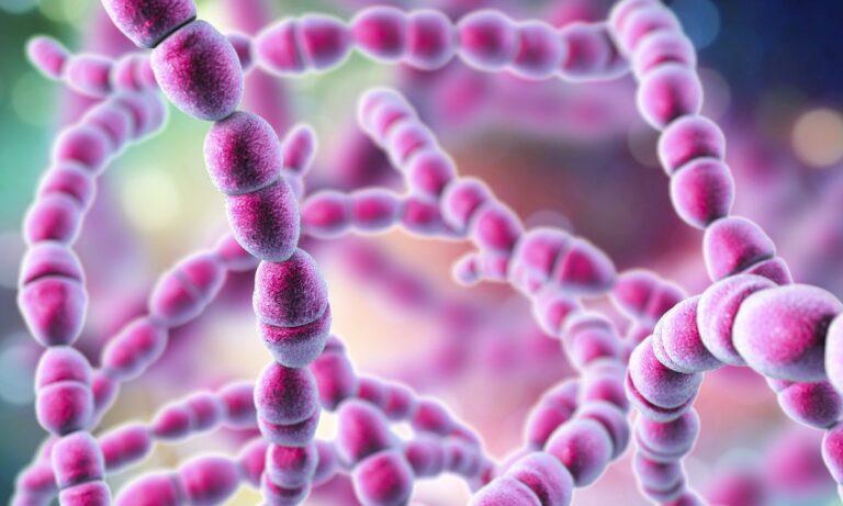 Imagen: Alerta presencia de bacteria carnivora en Japón