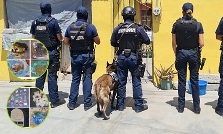 Imagen: SSPH decomisa más de mil dosis de presunta droga en operativos simultáneos en Progreso de Obregón