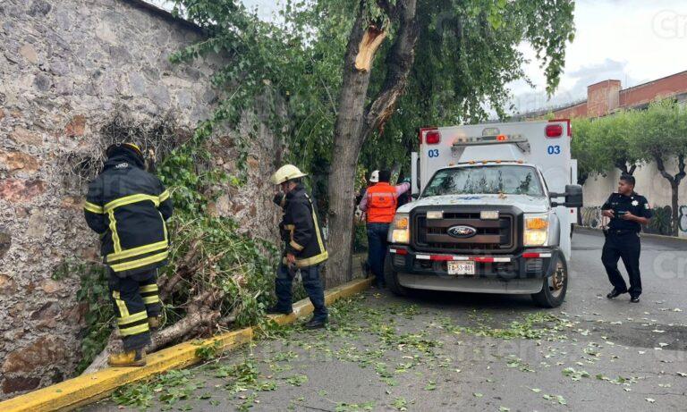 Imagen: Rama daña a una ambulancia que trasladaba heridos en Pachuca 