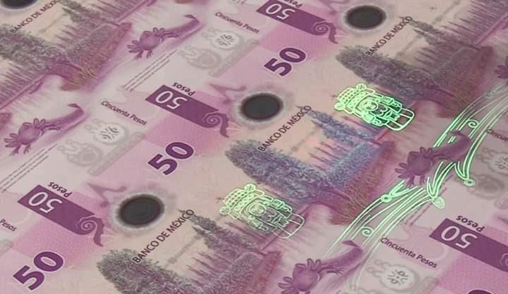 Imagen: Colección de billetes del ajolote se cotiza hasta en 3 millones de pesos