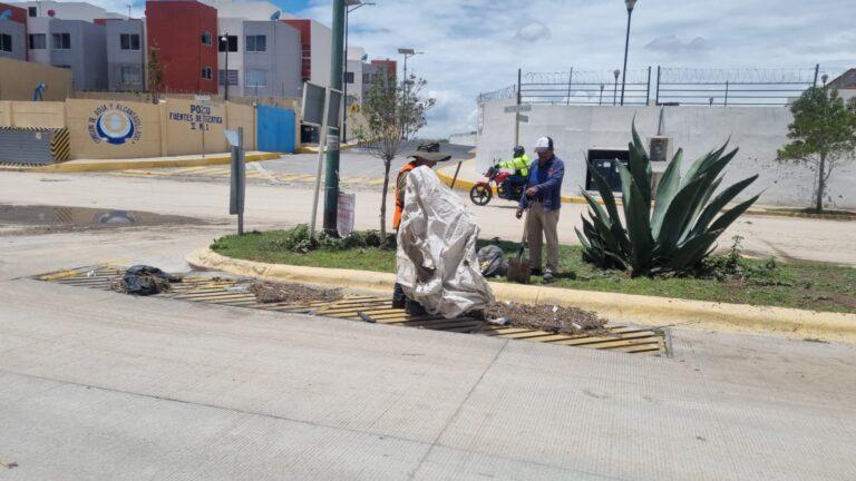 Imagen: Recolectan cuatro toneladas de basura de las calles, en Tizayuca