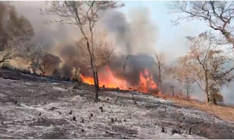 Imagen: Incendio en Huautla avanza hacia comunidad de Hernandeztla