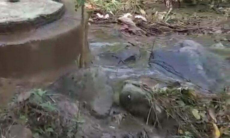Imagen: Vuelven descargas de aguas negras a arroyo, en Jaltocán
