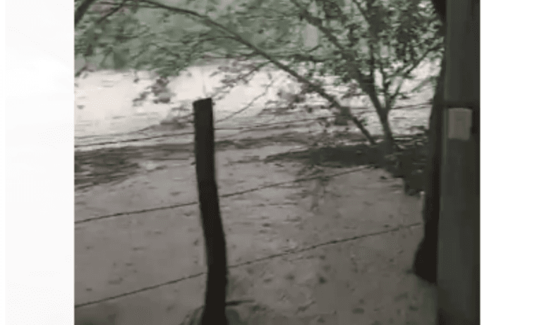 Imagen: Desborda río de Atlapexco; las autoridades permanecen en alerta para posible evacuación