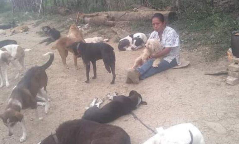 Imagen: Ambientalistas y activistas de la Huasteca llaman a cuidar y proteger a los perros en su día