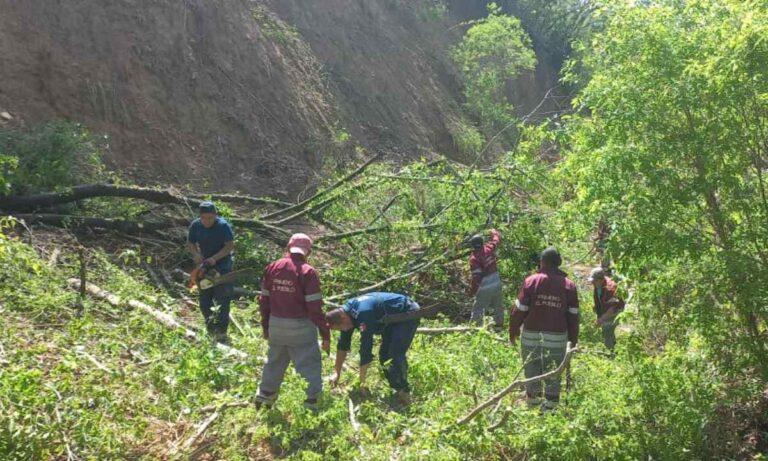 Imagen: Remueven escombros en zonas afectadas por las lluvias, en Hidalgo