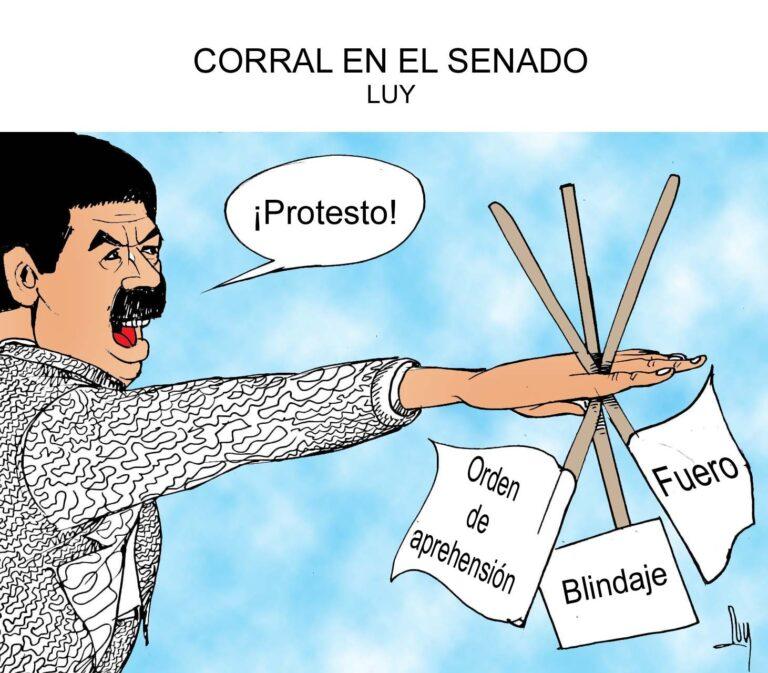Imagen: Corral en el Senado