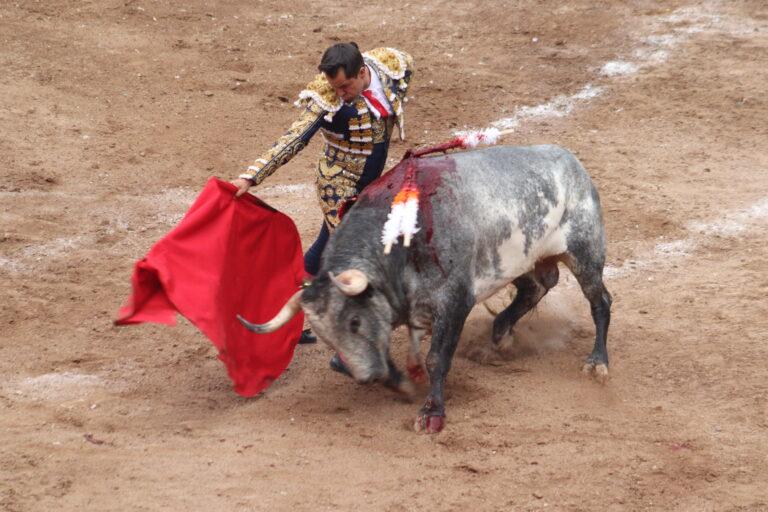 Imagen: Abre este domingo la temporada de feria en la Vicente Segura