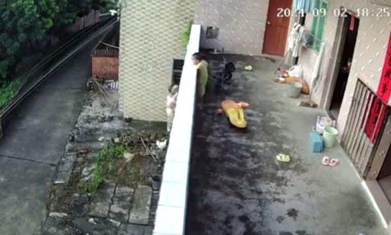 Imagen: Video: niño cae de balcón mientras jugaba con su hermano