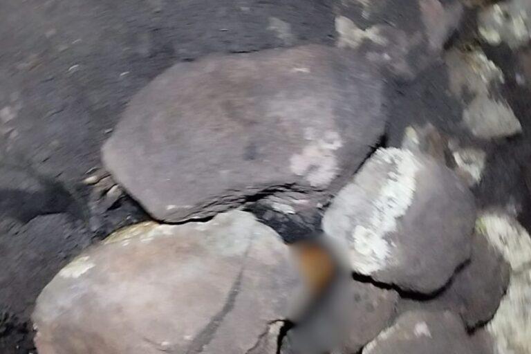 Imagen: Atención: Localizan fosa en San Agustín Tlaxiaca, esto fue lo que encontraron