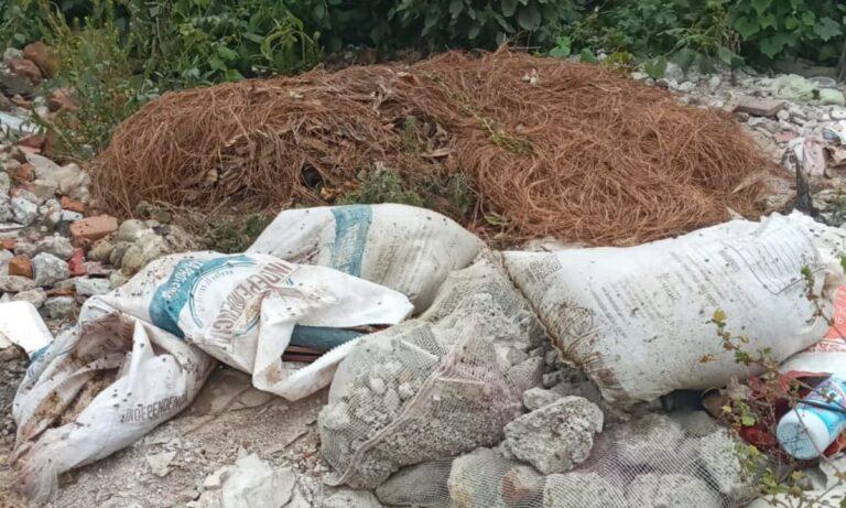 Imagen: Denuncian, otra vez, basurero a cielo abierto en Tulancingo