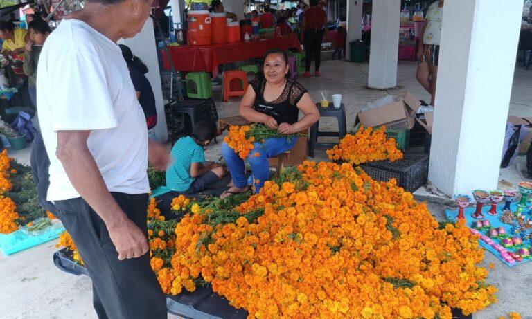 Imagen: En Tlanchinol, hay escasez de flor de cempasúchil