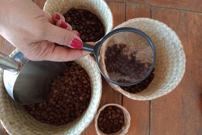 Imagen: Almán La Finca cumple 2 años con arte, gastronomía y café de las Altas Montañas
