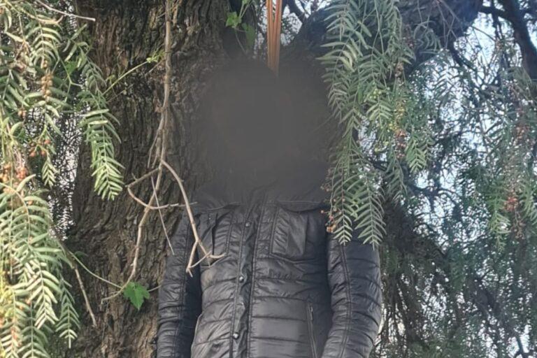 Imagen: Los hombres concentran la mayoría de los suicidios en Hidalgo