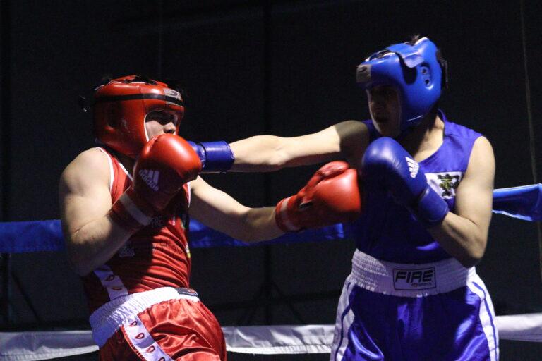 Imagen: Guantes de Oro 2024: Emoción y combates electrizantes en la penúltima función