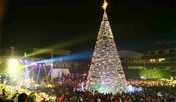 Imagen: El árbol navideño millonario que encenderá Pachuca este diciembre