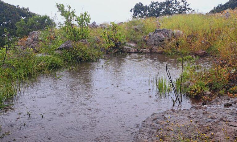 Imagen: Caamtroh promete que se regularizará el suministro de agua, en Tepeji del Río