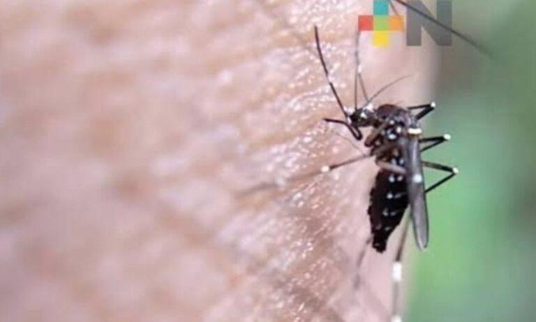 Imagen: Casos de dengue van en aumento en la Huasteca