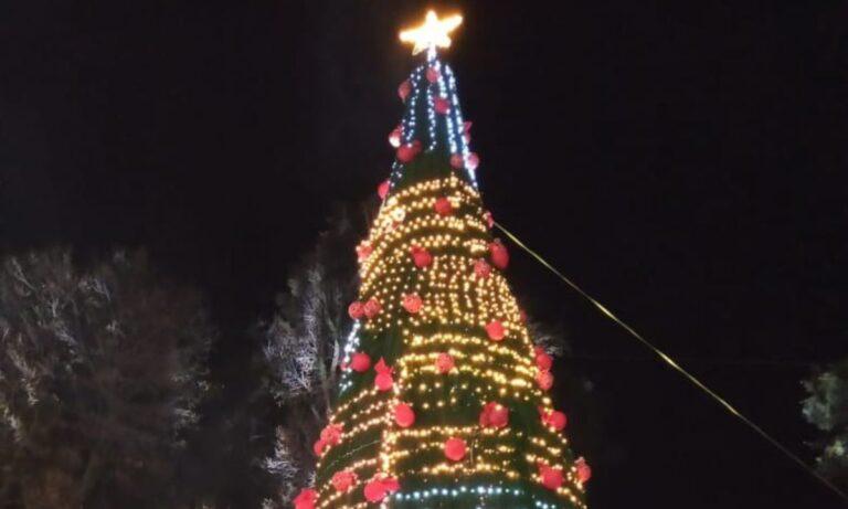 Imagen: El árbol navideño de La Floresta no representó gasto alguno: alcaldesa de Tulancingo