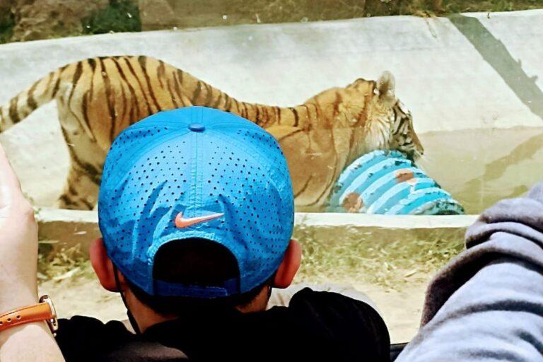 Imagen: Explora la fauna silvestre en Pachuca con recorridos y talleres: Todo lo que tienes que saber