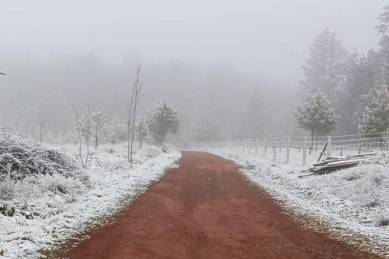 Imagen: Ola de frío sobre Hidalgo: Lluvias, niebla y temperaturas bajo cero