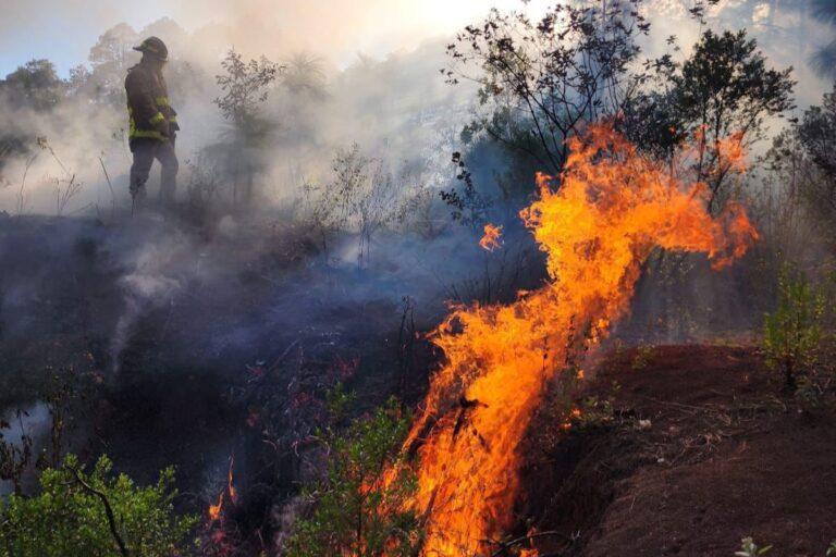 Imagen: Controlan incendio forestal en el bosque Yerbabuena de Huasca