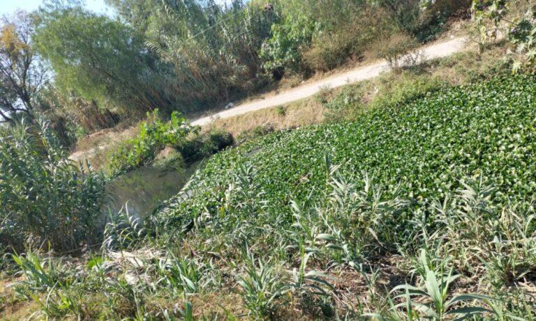 Imagen: Prevén que fumigación en presa Endhó comenzará en dos semanas
