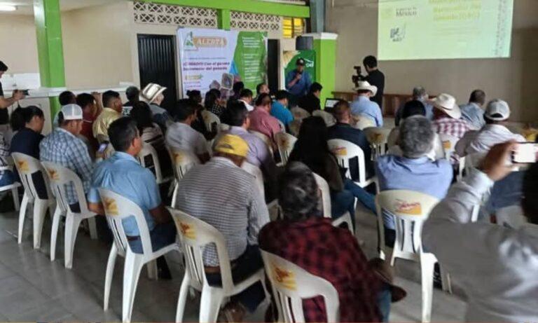 Imagen: Capacitan a ganaderos vs gusano barrenador, en Huejutla