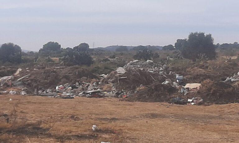 Imagen: Denuncian acumulación de desechos en carretera de Tlanalapa