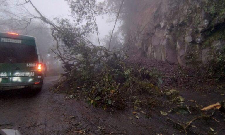 Imagen: Deslizamiento de piedras y caída de un árbol afectan carretera México-Tampico