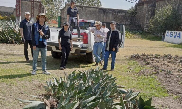Imagen: Dirección de Ecología de Emiliano Zapata supervisa cuidados a magueyes entregados