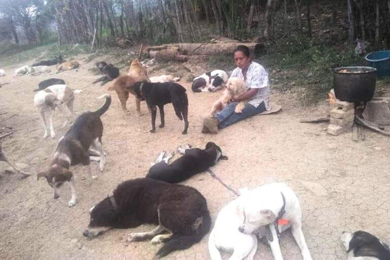 Imagen: Organizan venta de ropa en Huejutla para apoyar a refugio de animales