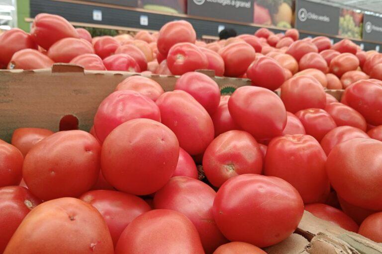Imagen: Canasta básica, $314 más barata esta semana, en Pachuca