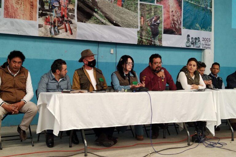 Imagen: Presentan proyecto para erradicar plaga en árboles del parque nacional El Chico