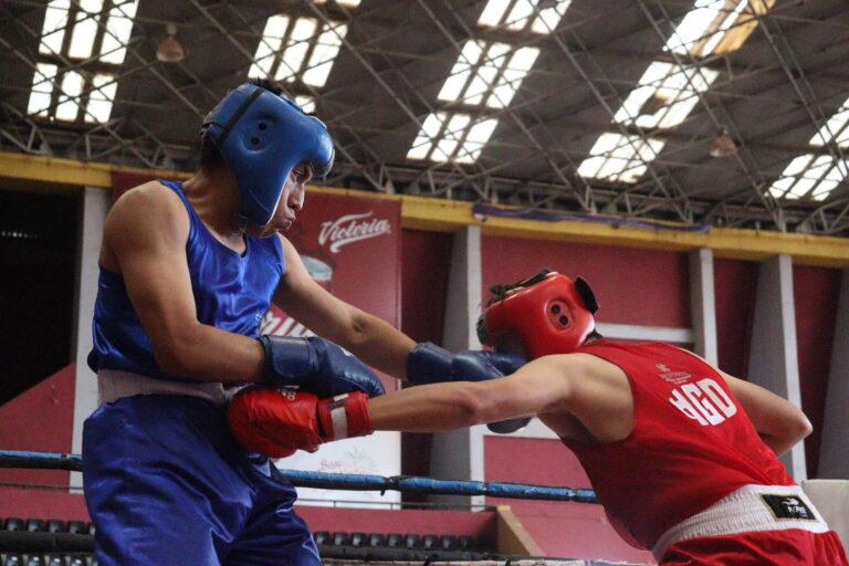 Imagen: Estatal de box: Más de 150 pugilistas inician su camino hacia los Juegos Nacionales Conade 2025