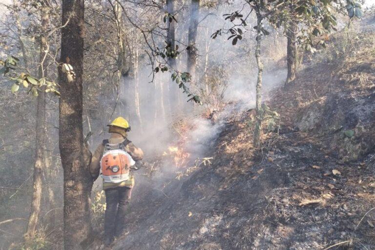 Imagen: Registra Tulancingo tres incendios forestales en lo que va de 2025