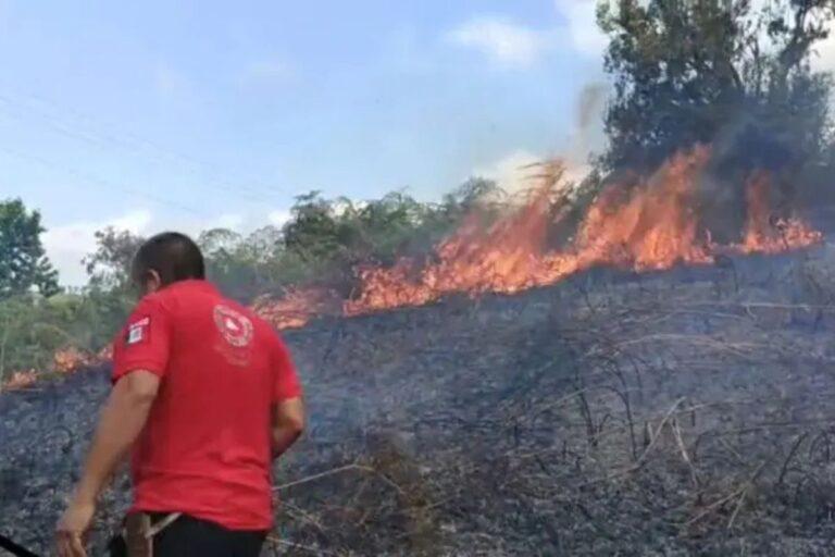 Imagen: Piden Halcones de Tlanchinol no arrojar vidrios para evitar incendios