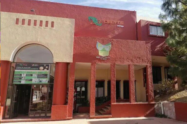 Imagen: Eroga Oficialía Mayor de Hidalgo 90 mdp para adquirir libros de texto