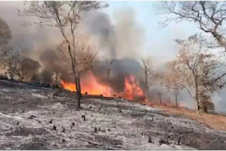 Imagen: Conafor ha apagado seis incendios en Zacualtipán