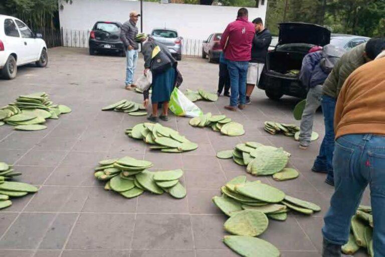 Imagen: Entregan donaciones para cultivo de nopal y pitahaya en Huasca