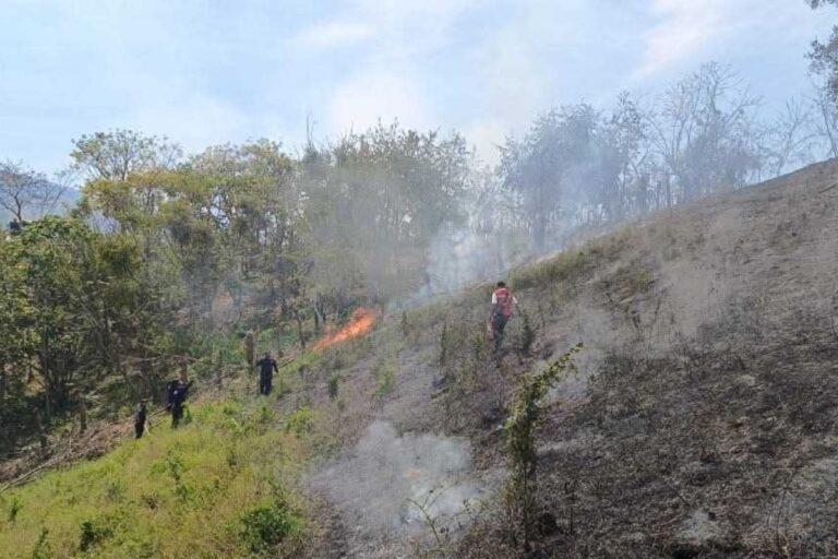 Imagen: Bomberos de Huejutla llaman a reforzar las medidas contra incendios forestales