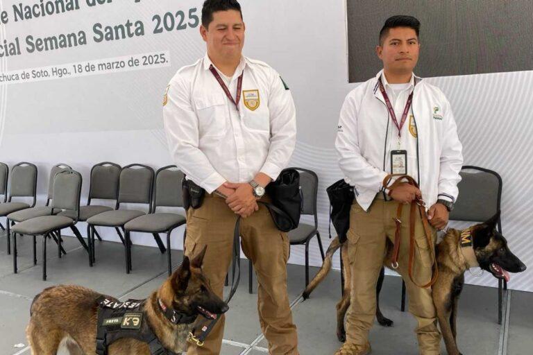 Imagen: Usa INM binomios caninos para la localización de migrantes en Hidalgo