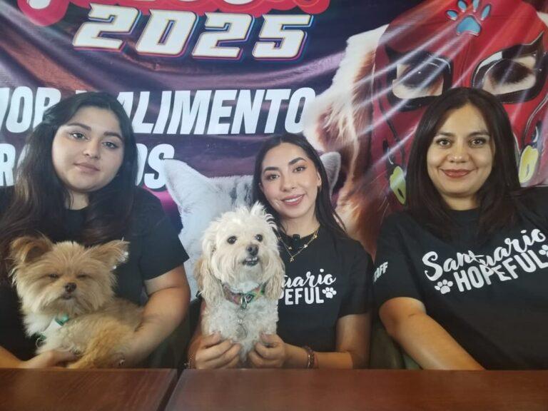 Imagen: Pachuca: Croquetón 2025 busca reunir 10 toneladas de croquetas para animales sin hogar 