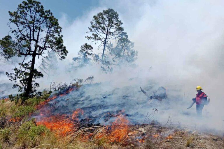 Imagen: ¿Cuántos incendios forestales se registraron de enero al cierre de marzo, en Hidalgo?
