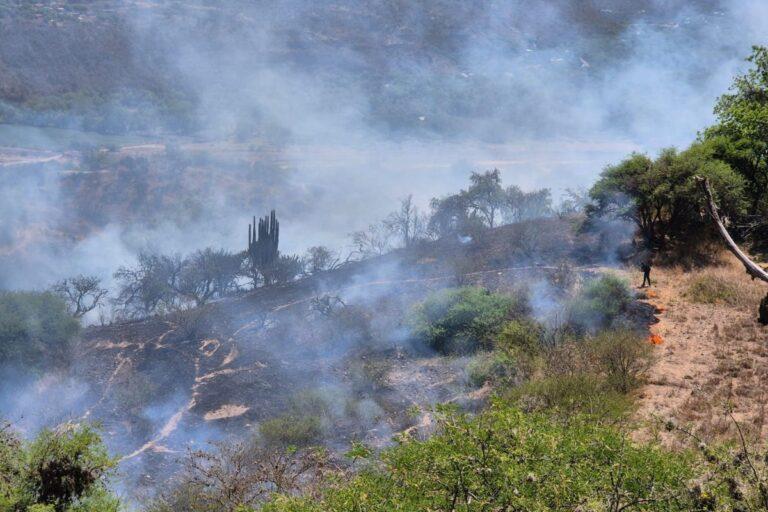 Imagen: Tardan tres días en apagar un incendio en Metzquititlán 